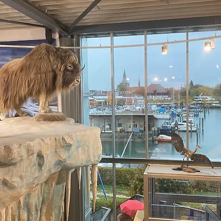 Apartamento Altstadtliebe - Harmonischer Luxus